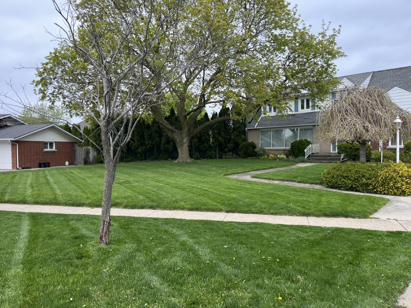 Commercial Lawn Mowing